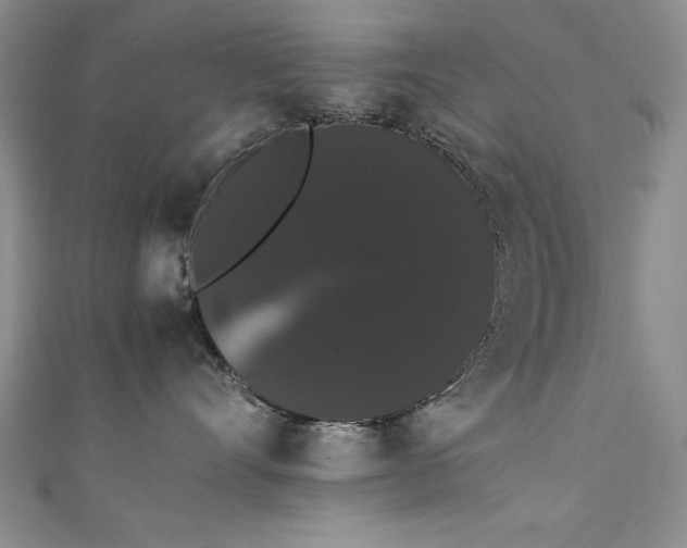 X0000111880528200907231537
