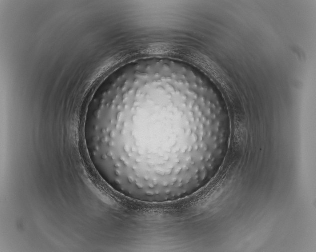 X0000111880530200907231537