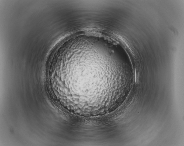 X0000111880531200907231537