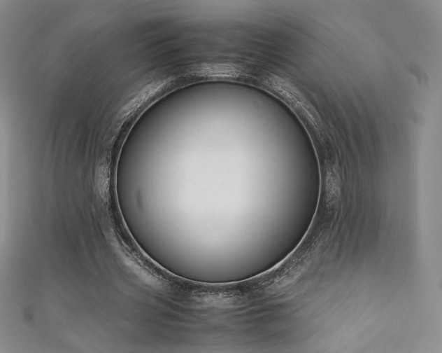 X0000111880533200907231537
