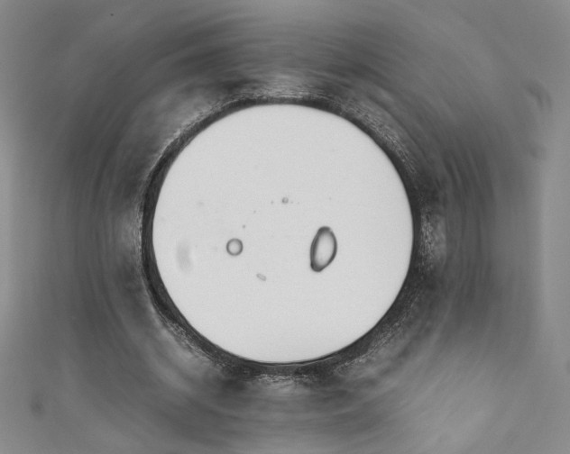 X0000111880534200907231537
