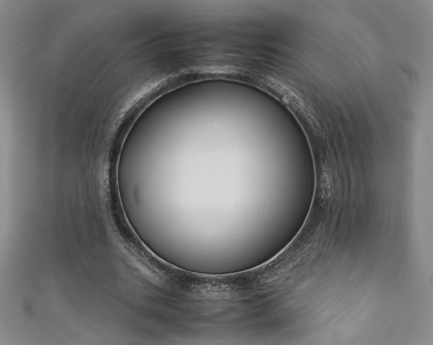 X0000111880535200907231537