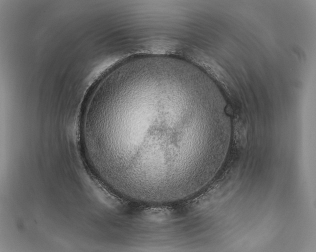 X0000111880536200907231537