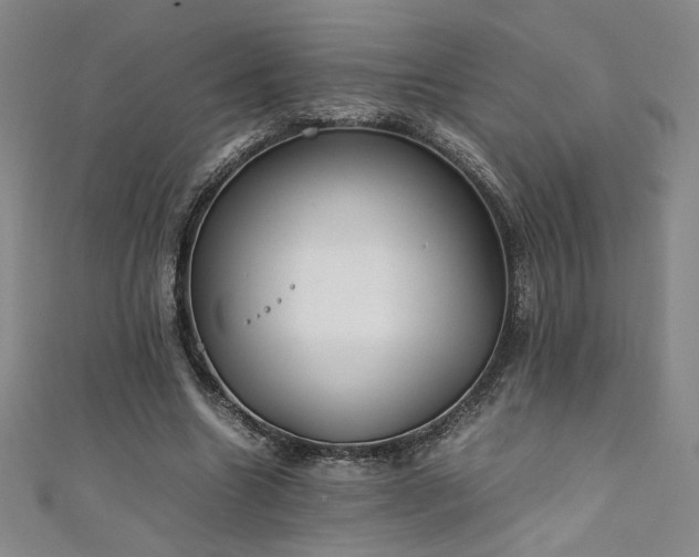 X0000111880538200907231537