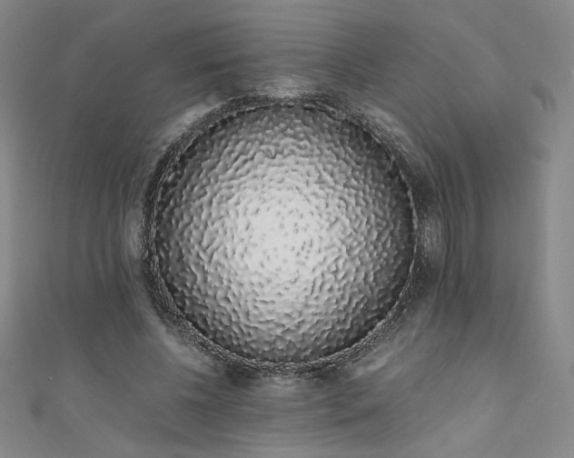 X0000111880540200907231537