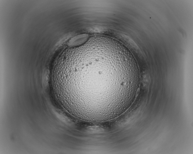 X0000111880544200907231537