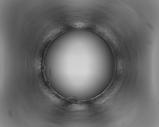 X0000111880545200907231537