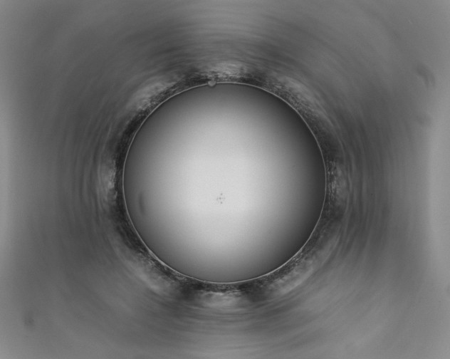 X0000111880548200907231537