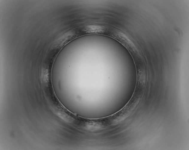 X0000111880549200907231537