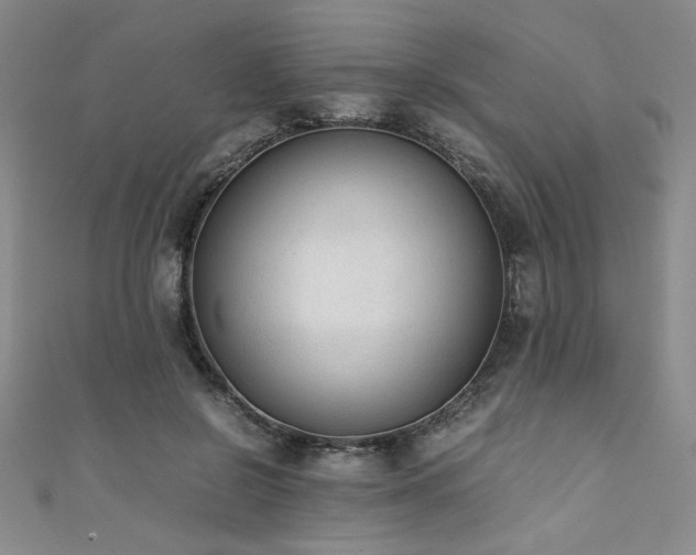 X0000111880550200907231537