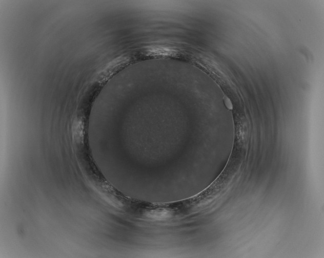 X0000111880551200907231537