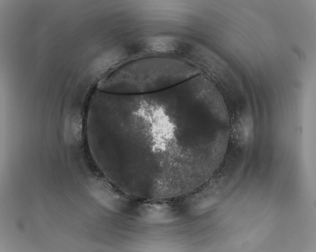 X0000111880552200907231537