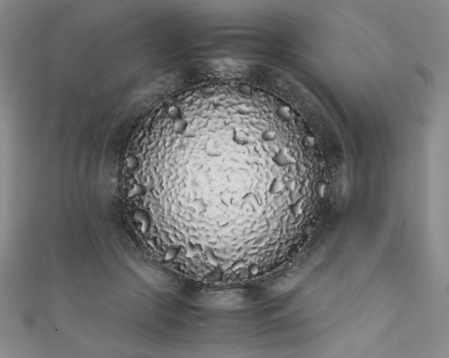 X0000111880553200907231537