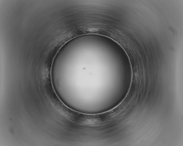 X0000111880555200907231537