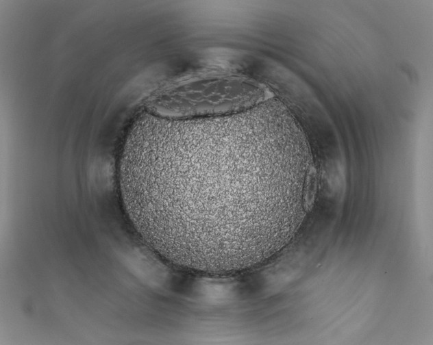X0000111880556200907231537