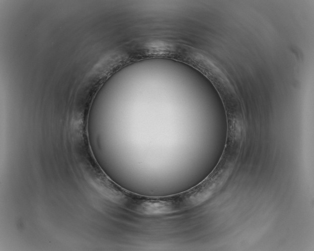 X0000111880557200907231537