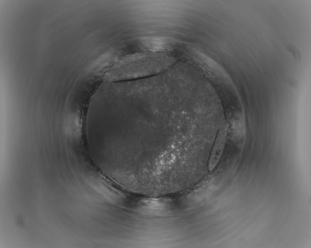 X0000111880558200907231537
