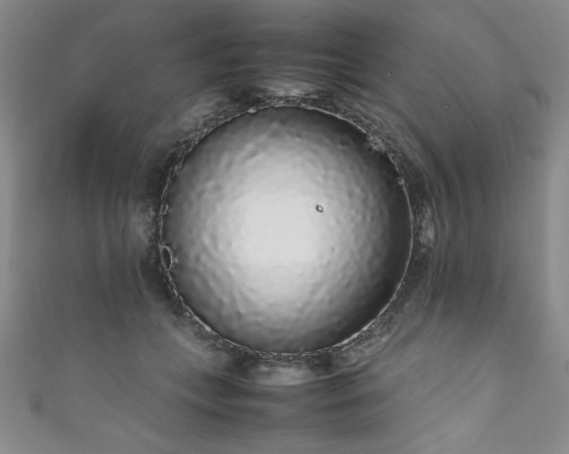 X0000111880559200907231537