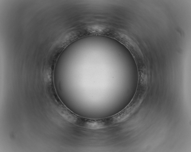 X0000111880561200907231537