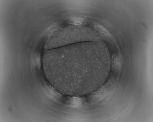 X0000111880562200907231537