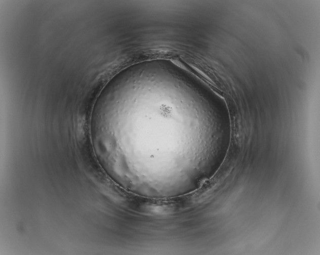 X0000111880563200907231537
