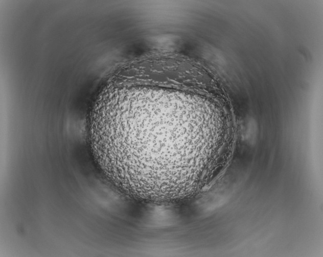 X0000111880564200907231537