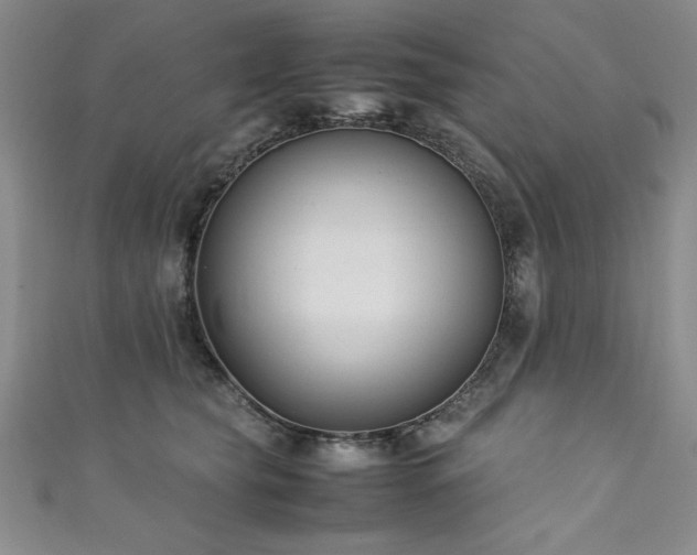 X0000111880565200907231537