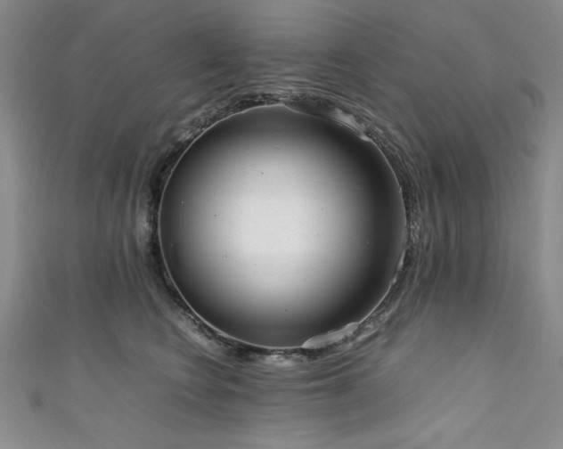 X0000111880566200907231537