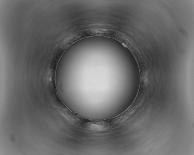X0000111880567200907231537