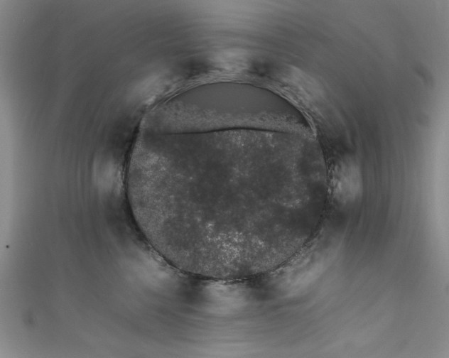 X0000111880568200907231537