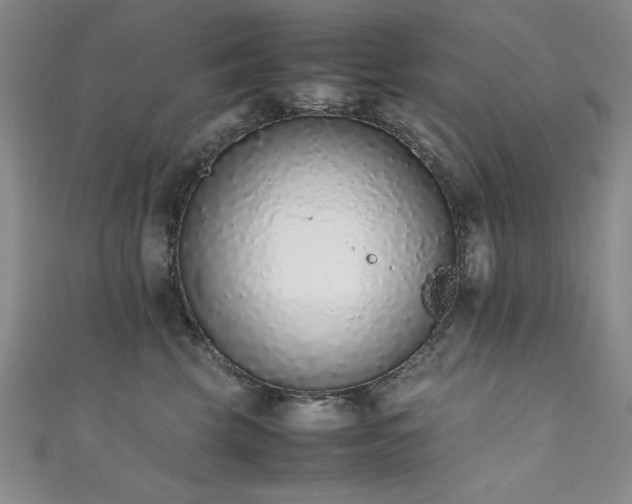 X0000111880569200907231537