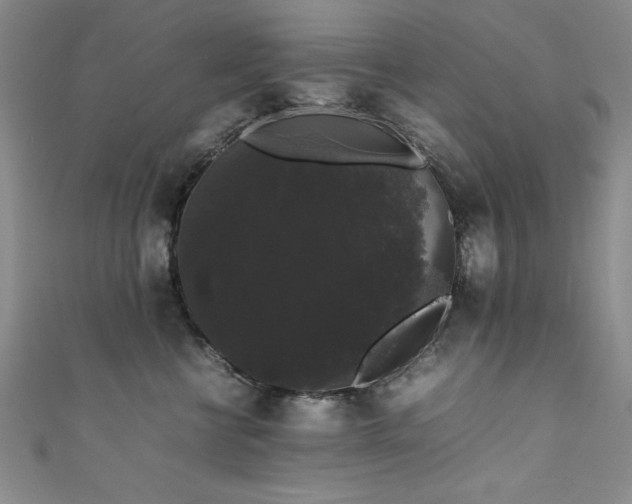 X0000111880570200907231537