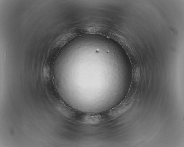 X0000111880571200907231537