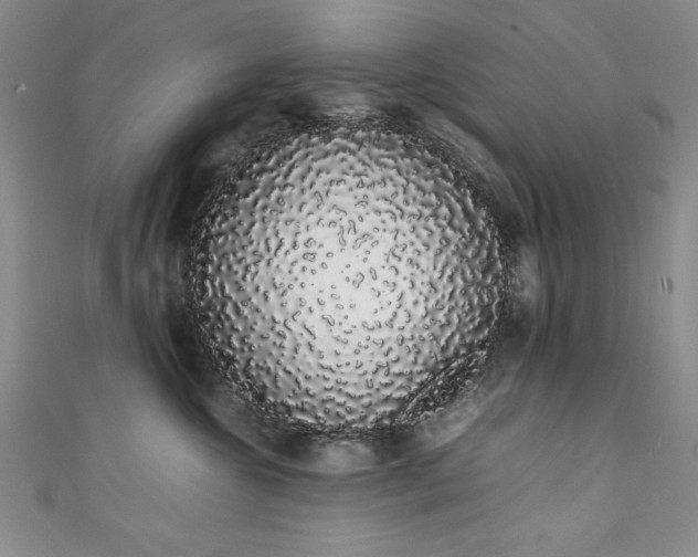 X0000111880572200907231537