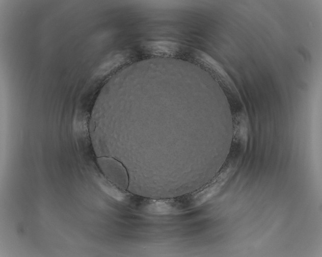 X0000111880573200907231537