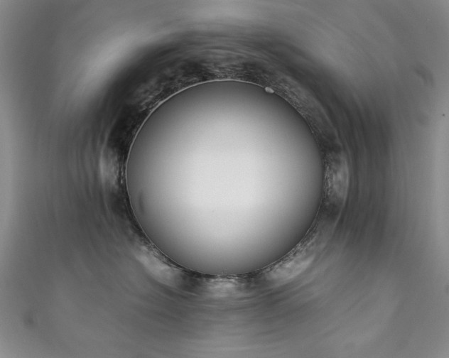 X0000111880574200907231537