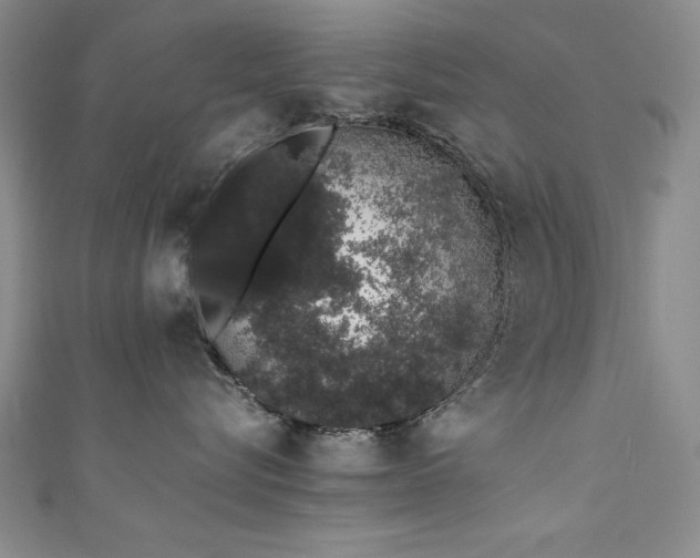 X0000111880576200907231537