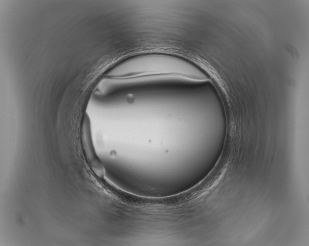 X0000111880577200907231537