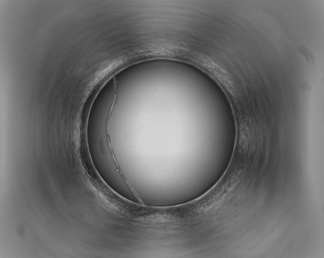X0000111880578200907231537