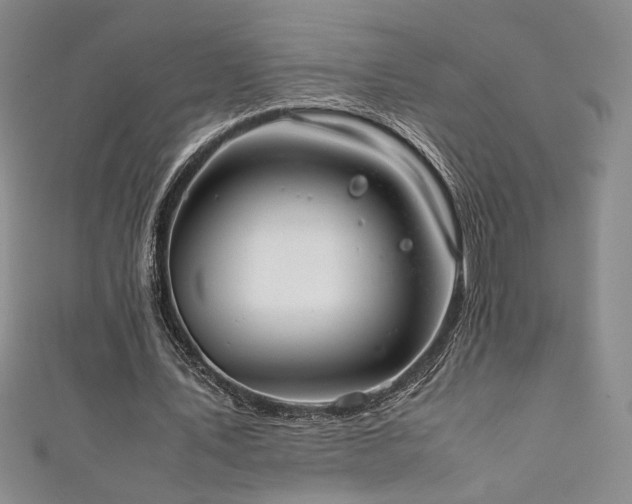 X0000111880579200907231537