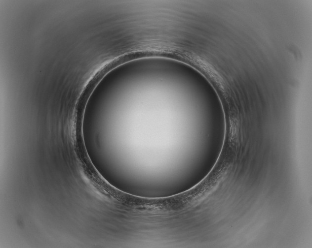X0000111880580200907231537