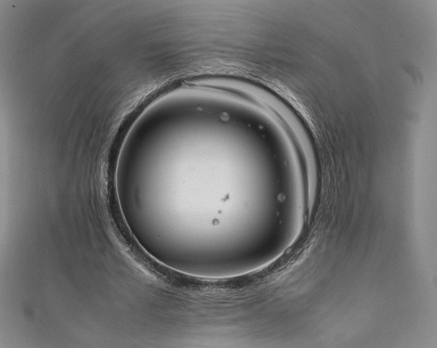 X0000111880581200907231537
