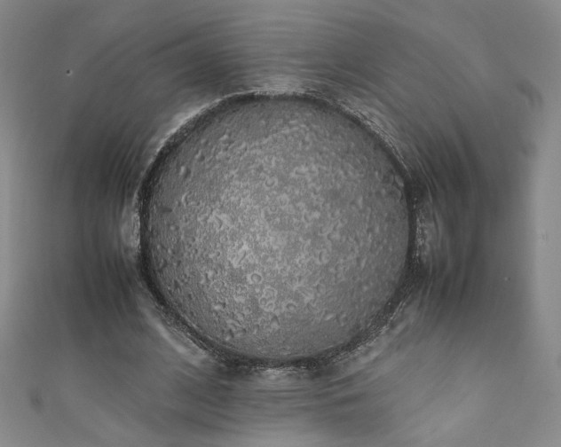 X0000111880584200907231537