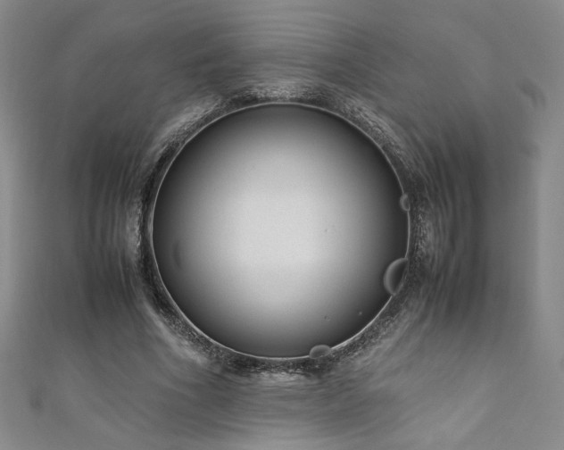 X0000111880586200907231537