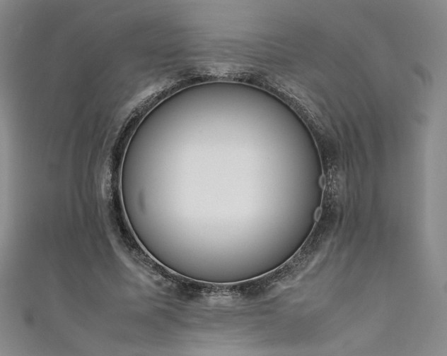 X0000111880587200907231537