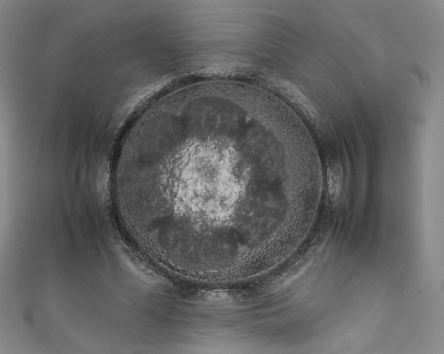 X0000111880588200907231537