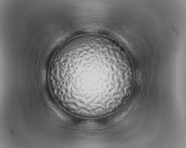 X0000111880589200907231537