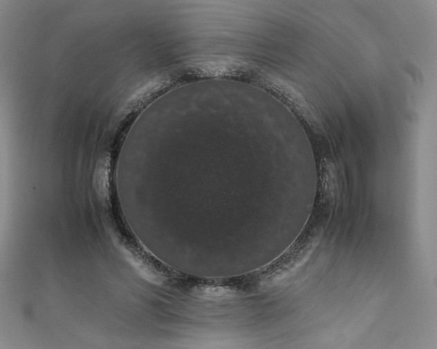 X0000111880590200907231537