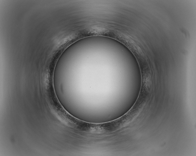X0000111880591200907231537
