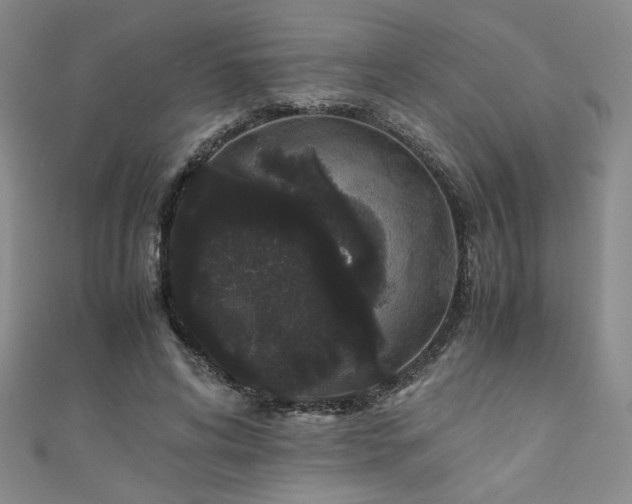 X0000111880592200907231537